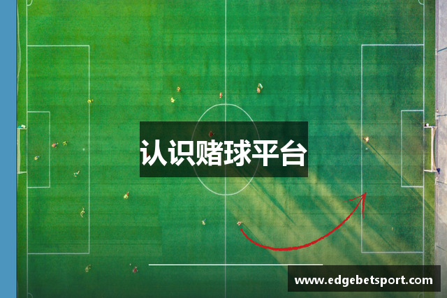 认识赌球平台